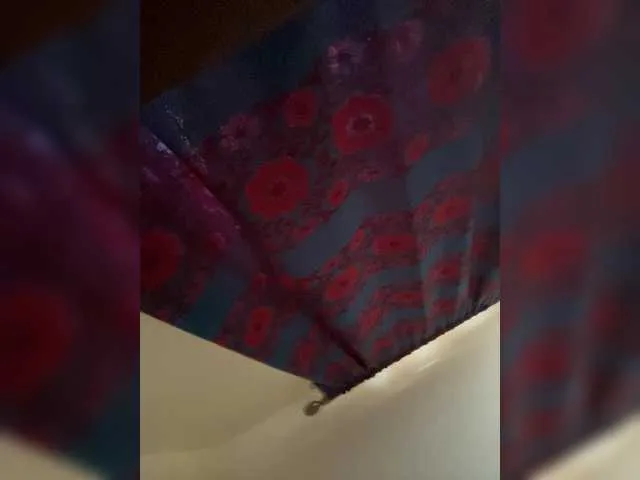 BongaCams Steicylovee is Freechat Steicylovee — sexy African girl#big tits