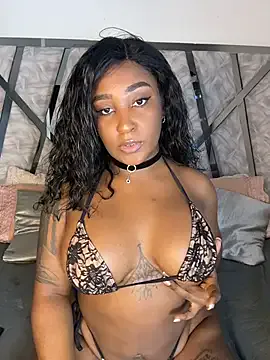 StripChat Denise_wolfe21 is Freechat Denise_wolfe21 — Spank ass x10